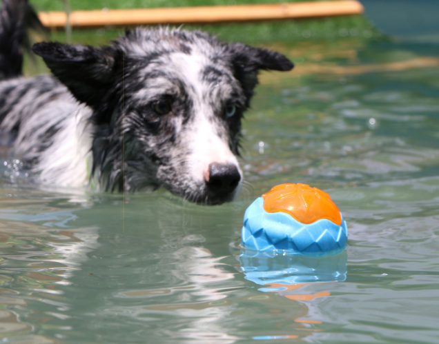 Hundespielzeugball 9cm